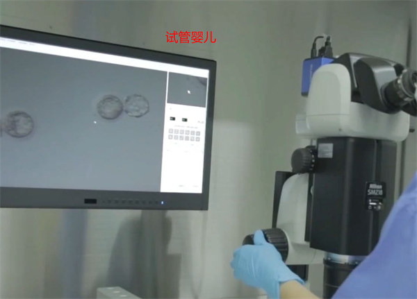 17447078546228.png 17447078546228.png