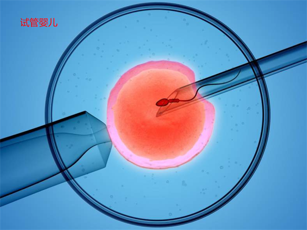 17447122129688.png 17447122129688.png