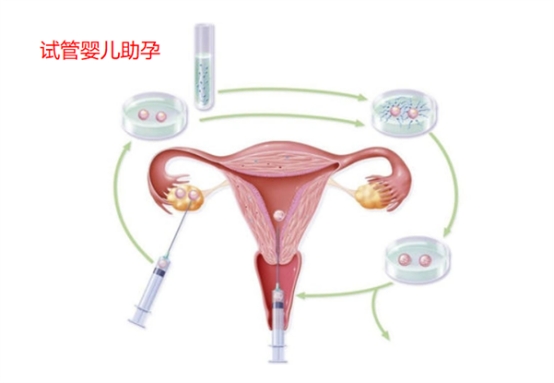 17447180484661.jpg 17447180484661.jpg