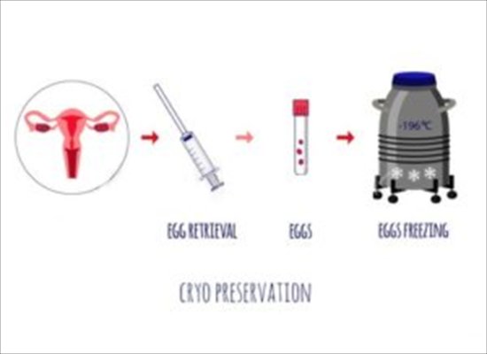 17447718642805.png 微信图片_20241030111856.png