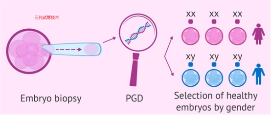 17447742197680.jpg 17447742197680.jpg