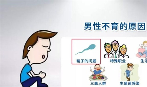 17447905852985.png wps12.png