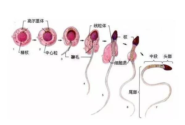 17447916874152.jpg wps19.jpg