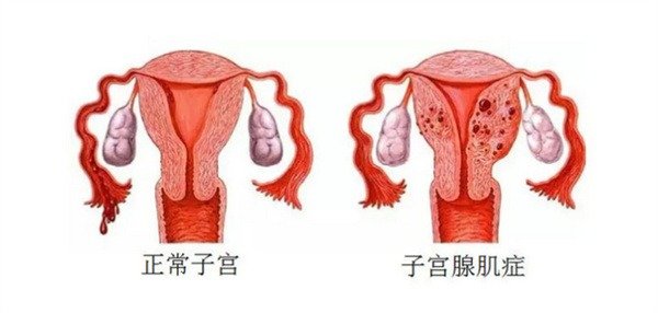 17447934894883.png wps32.png