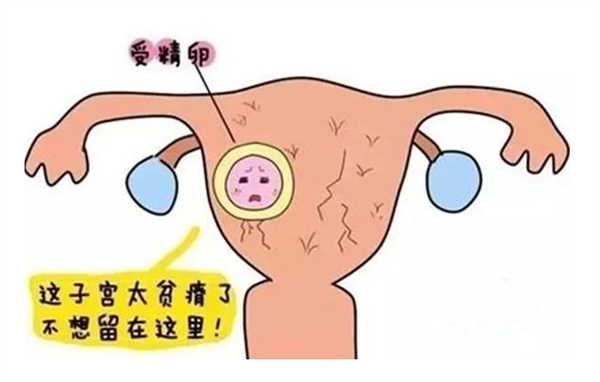 17447935038470.jpg wps33.jpg