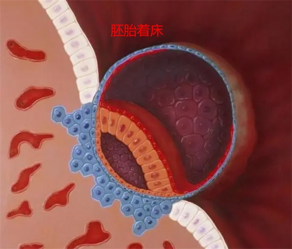 17447935399997.jpg wps34.jpg