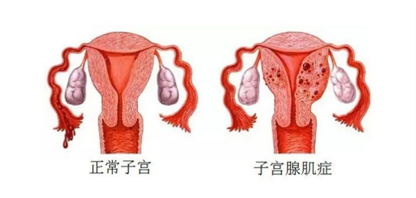 17447955296819.png wps32.png