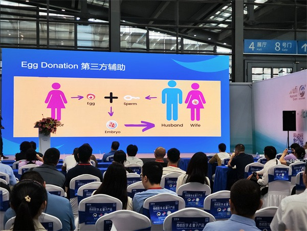 17450309526845.png wps26.png