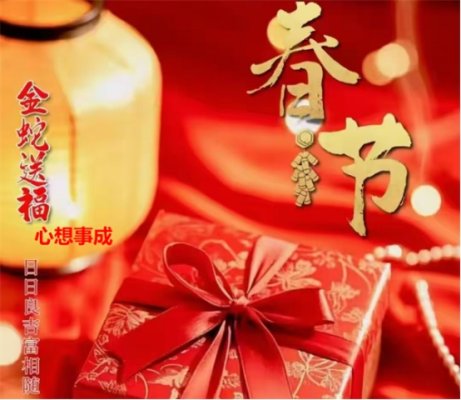 巴统新春海外试管记：四组家庭的幸福绽放