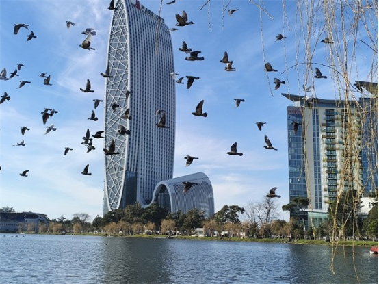 17450421773145.png 17450421773145.png