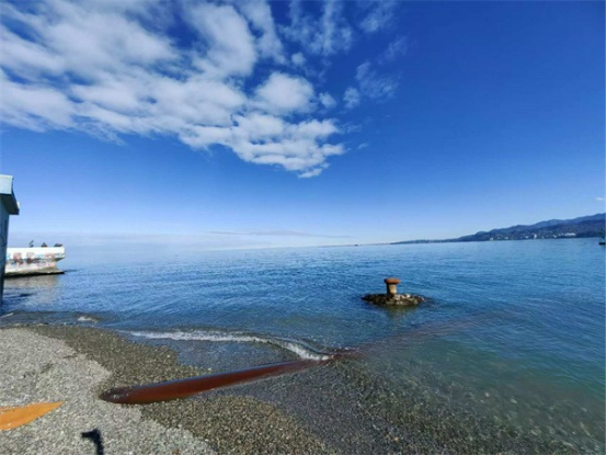 17450429475665.png 17450429475665.png