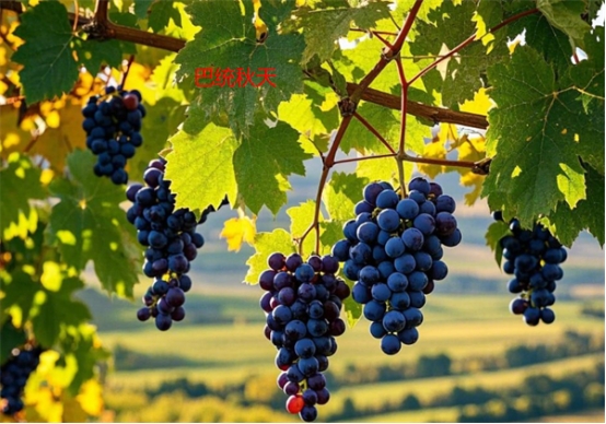 17450430729869.jpg 17450430729869.jpg