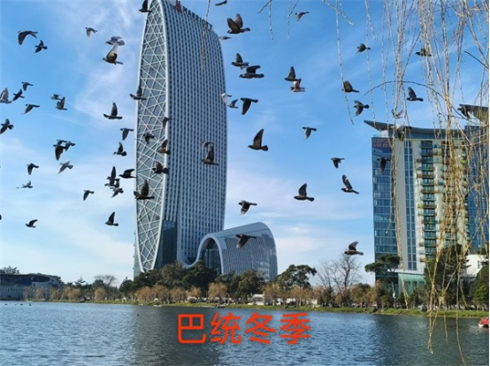 17450431022418.png 17450431022418.png