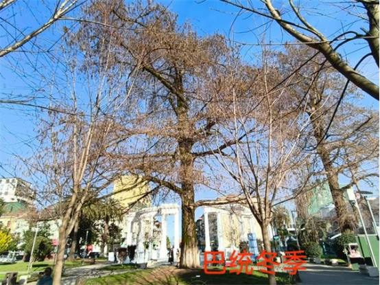 17450431242528.png 17450431242528.png