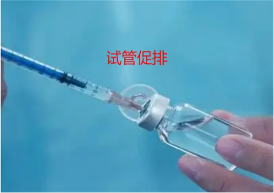 17450437372540.jpg 17450437372540.jpg