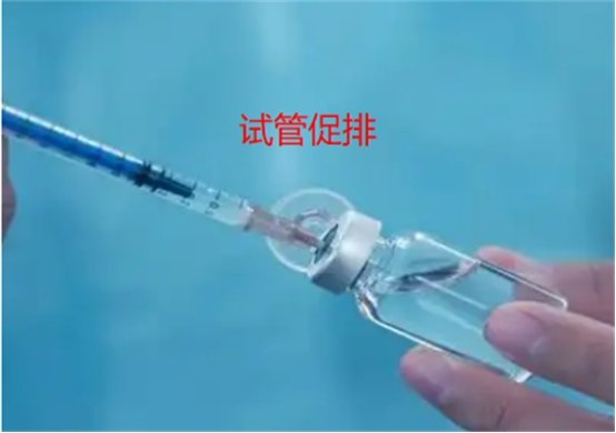 格鲁吉亚巴统试管促排期间运动注意事项