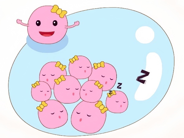 17455697848896.jpg 17455697848896.jpg