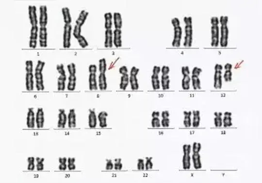 17456464237741.jpg 6d57aeabda3d43ff08ba6451e910e7f0.webp.jpg