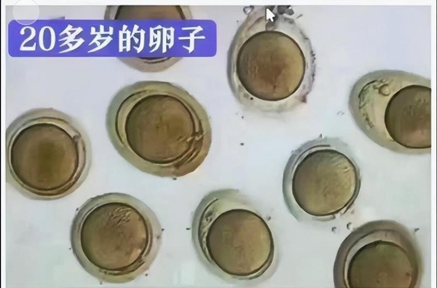 17458078235582.png 微信截图_20250428103032.png