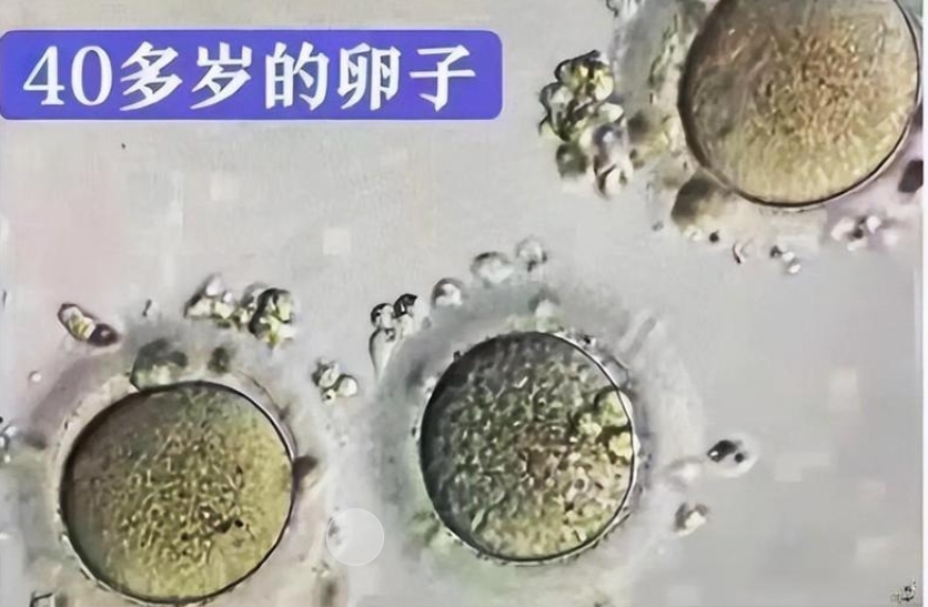 17458078353819.png 微信截图_20250428103044.png