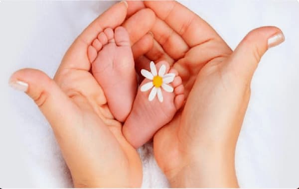 17458957197621.jpg 微信图片_20250429103444.jpg