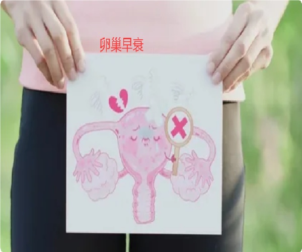 17465875016700.jpg 微信图片_20250507102252.jpg