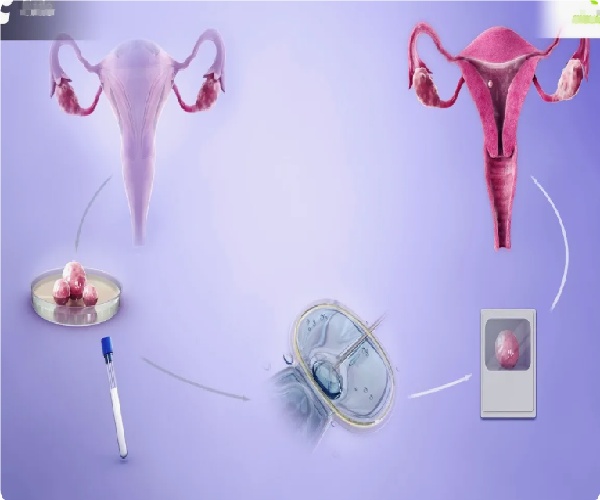 17465875215769.jpg 微信图片_20250506110456.jpg