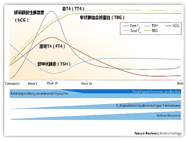 17466022569013.jpg fc576f66-0049-4b29-9310-aafd523477ba.jpg
