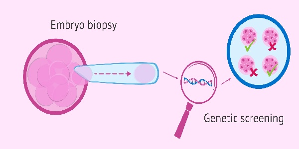 17472987502177.jpg 微信图片_20250515153320.jpg