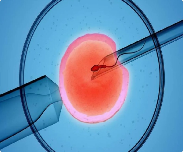 17473673904560.jpg 微信图片_20250506110348.jpg