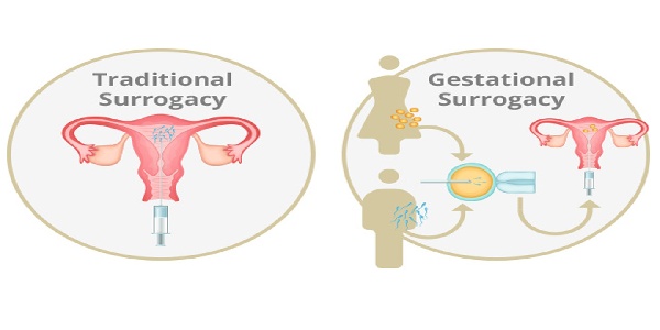 17473676006883.jpg 微信图片_20250515153349.jpg