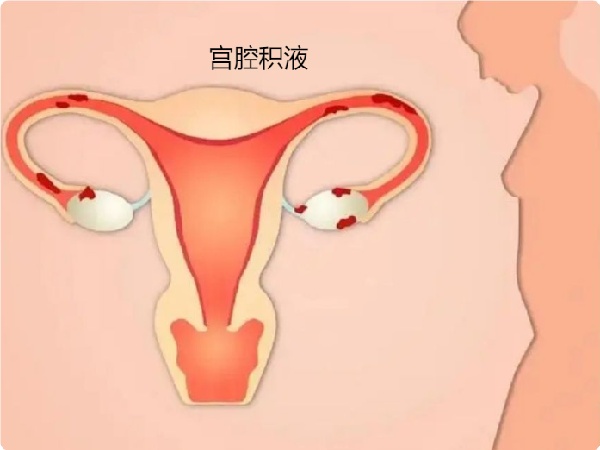 17474543928355.jpg 微信图片_20250517115326.jpg