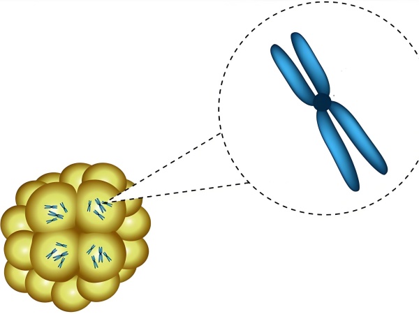 17477296737318.jpg 0157efa8-4826-4353-a0d8-8d4fc0485f24.jpg