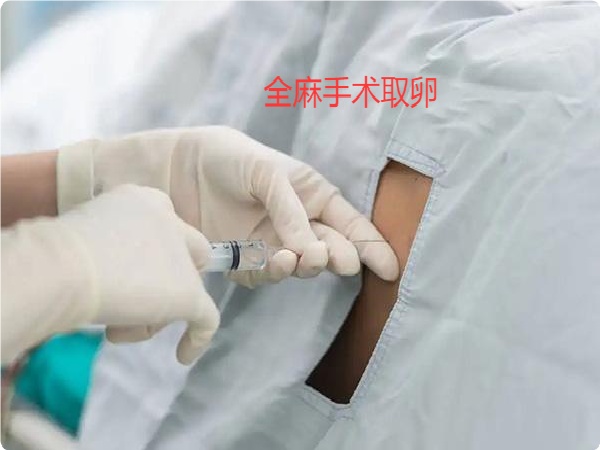 17478166629943.jpg 微信图片_20250521162741.jpg