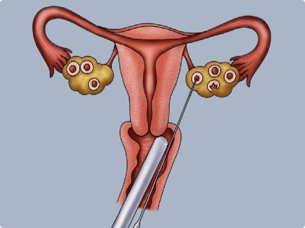 17478166734520.jpg 微信图片_20250521162737.jpg