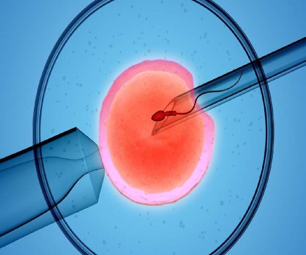 17480587029384.jpg 微信图片_20250515153601.jpg