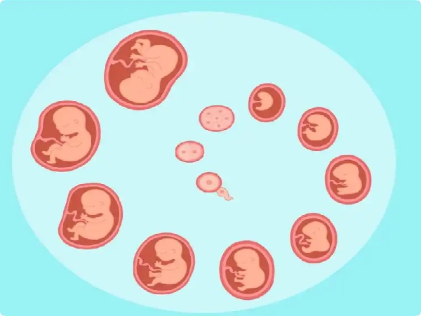 17482587834865.jpg 微信图片_20250526191627.jpg