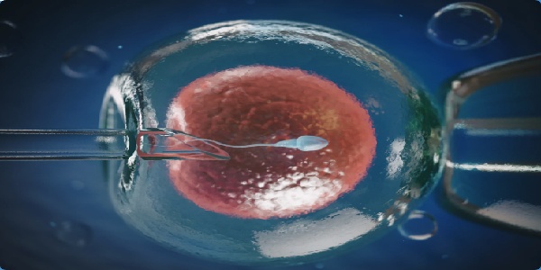 17495442443672.jpg 微信图片_20250515153606.jpg