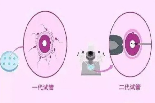 17496987875280.jpg 微信图片_20250612111619.jpg