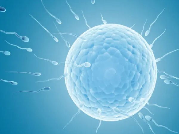 17500727959601.jpg 微信图片_20250616190754.jpg