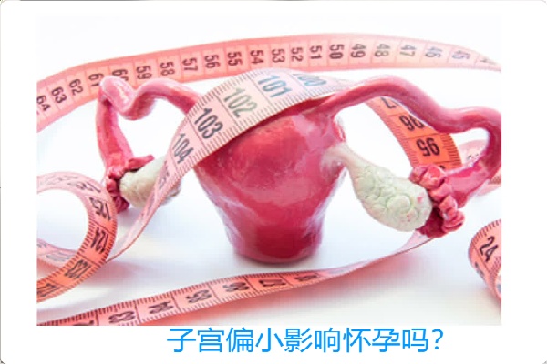 17502478843719.jpg 微信图片_20250618194351.jpg