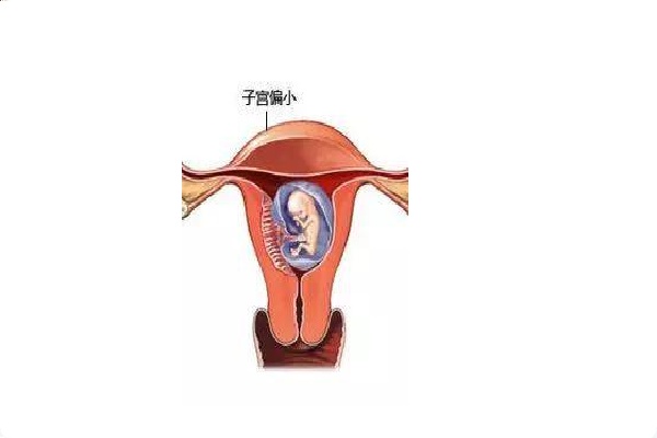 17502479021792.jpg 微信图片_20250618194357.jpg