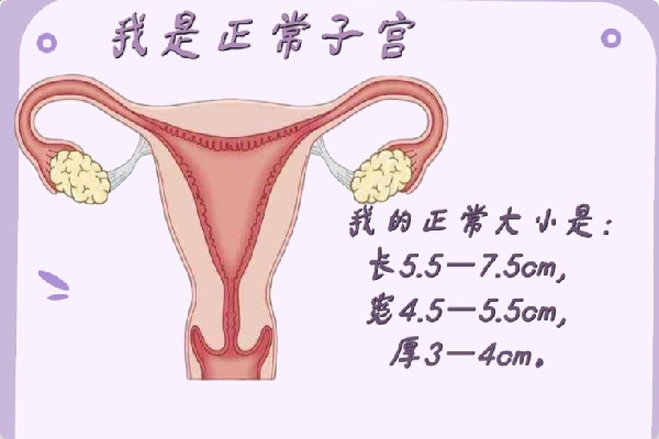 17502479141523.jpg 微信图片_20250618194408.jpg