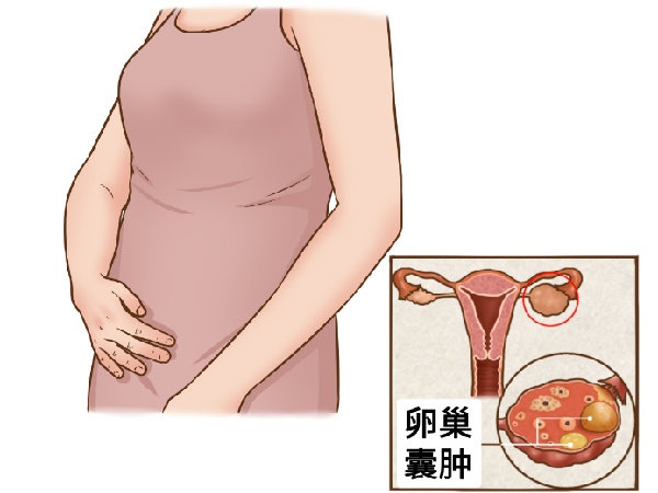 17506733786022.jpg 微信图片_20250623114823.jpg