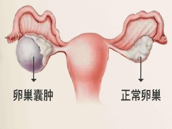 17506733887587.jpg 微信图片_20250623114806.jpg