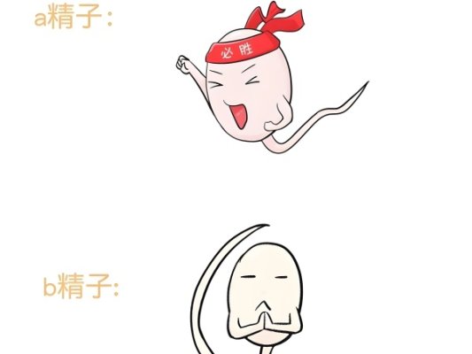 男性不育选择做试管成功率高吗?