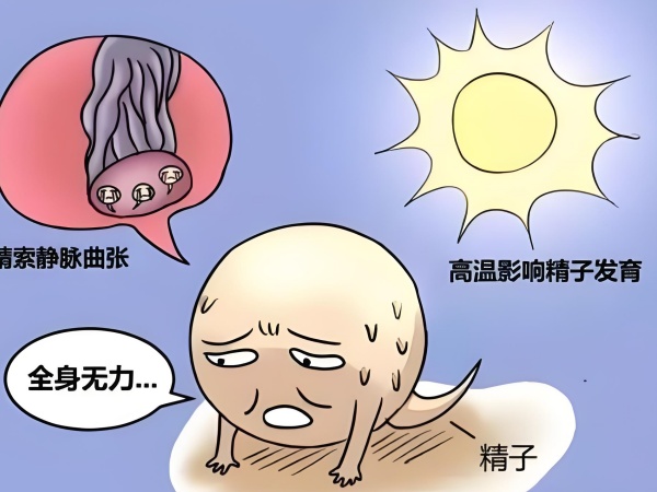 17513517837885.jpg f76f5d44-cde3-4dfb-a9a4-66d69375057f.jpg