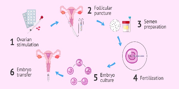 17513662756980.jpg 微信图片_20250515153427.jpg