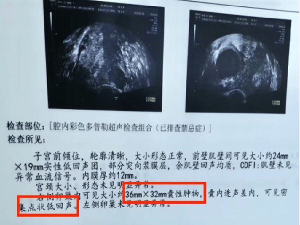 17513662897939.jpg 微信图片_20250701182023.jpg