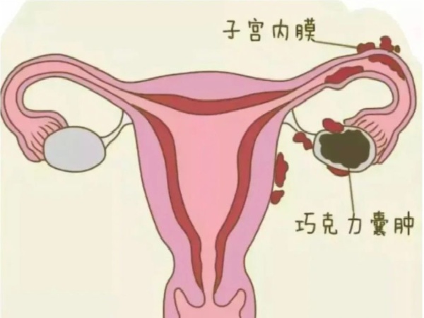 17513663024210.jpg 微信图片_20250701182011.jpg